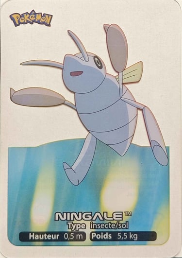 48 Ningale Lamicards Pokémon série 3