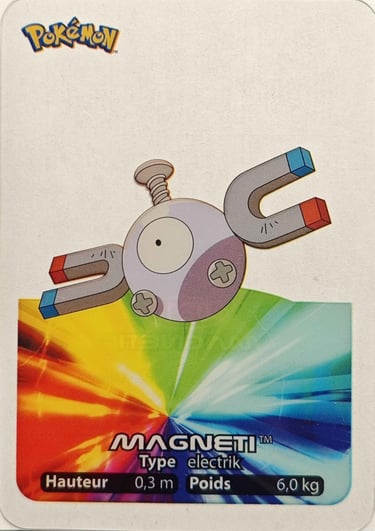 81 Magneti Lamincards Pokémon série 1