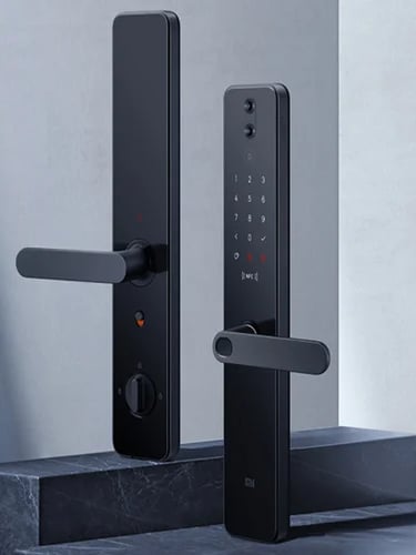 Wireless Biometric Access Control System