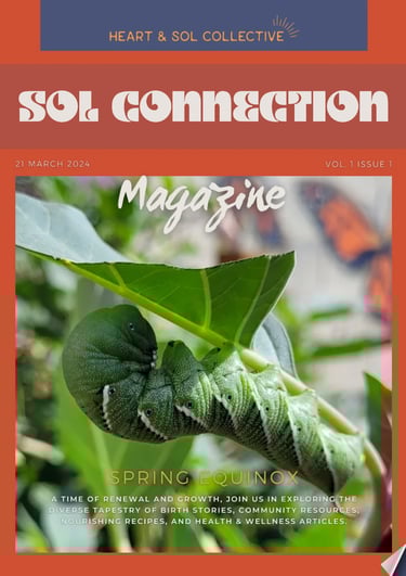 Sol connection magazine cover volume 1 issue 1