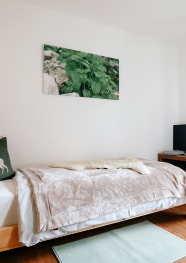 a bedroom with a bed and a television