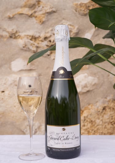a bottle of champagne in front of a glass of champagne