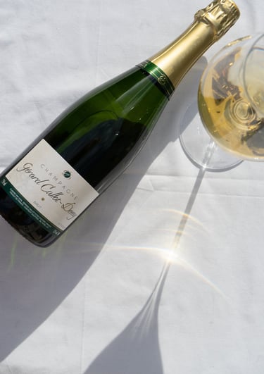 a bottle of wine and a glass of wine