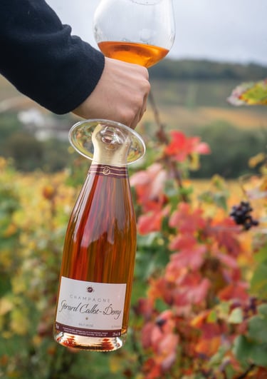 a person holding a wine glass in front of a wine glass