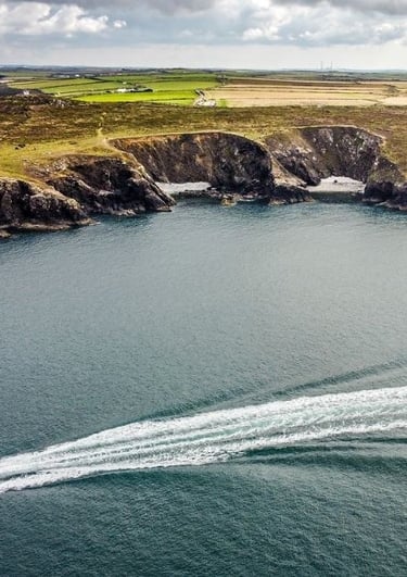 Skomer Island, Pembrokeshire puffin boat drone deer park