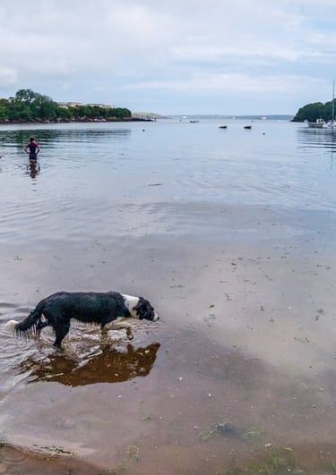 Sandy Haven bay st ishmael's 