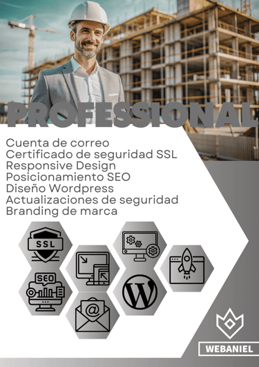 Plan Professional