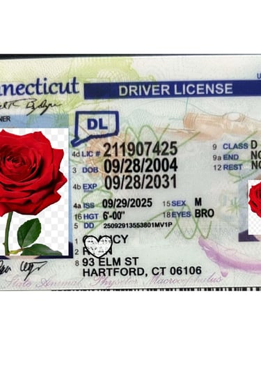 Connecticut scannable fake drivers license