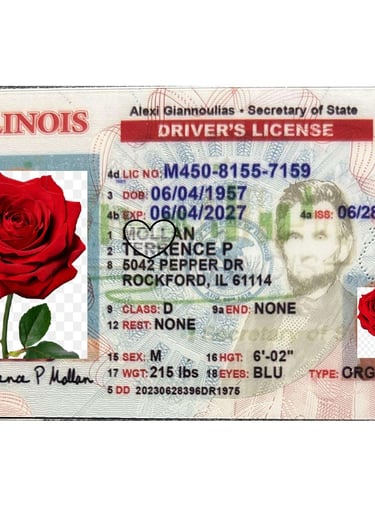 Illinois scannable fake ID drivers license