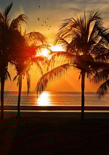 Florida Sunset at JAX beach taken from Jacksonville Airport Limo