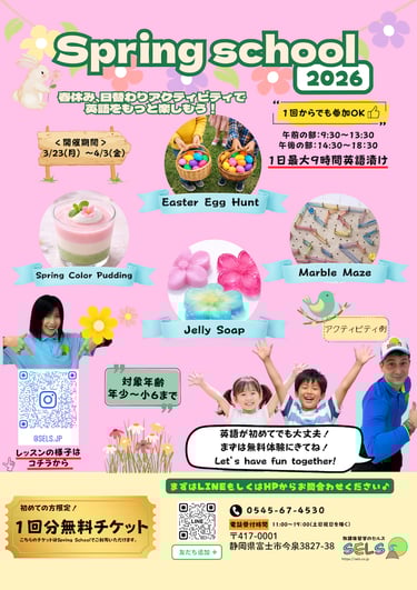 Spring school flayer