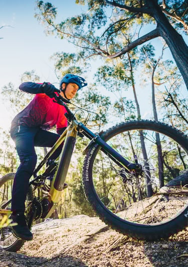 Photo_categorie-velo_electrique