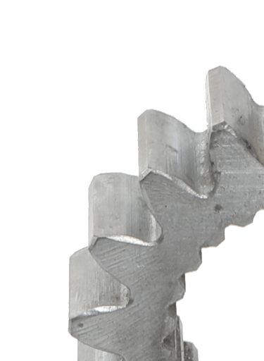 AVRUPA DİŞLİ DÜZ DİŞLİ