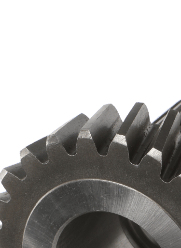 AVRUPA DİŞLİ DÜZ DİŞLİ