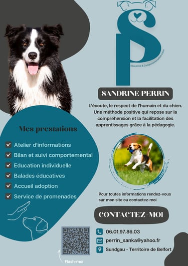 affiche éducatrice canin