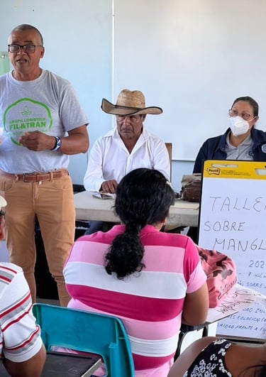 consultoría y capacitaciones para restauración de manglar