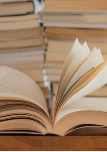 25-Lesson IB tutoring package for Maths or Physics students