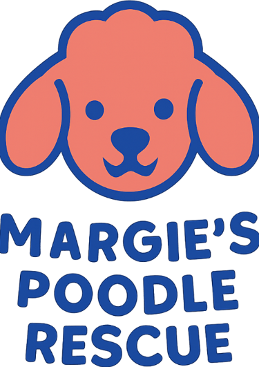 Margie's mini poodle and toy poodle rescue