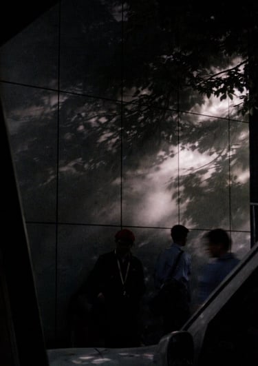 Light and Shadows dance like a silent black and white movie on a corporate office wall. Silent Play, Photo by Geeta Arya