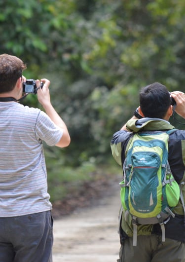 A traveller taking picture of a wildlife 