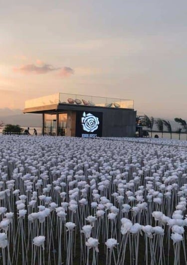 10000-roses-cordova-cebu