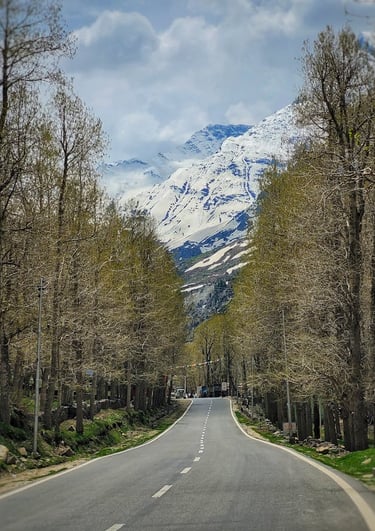 a road with a mountain in the background