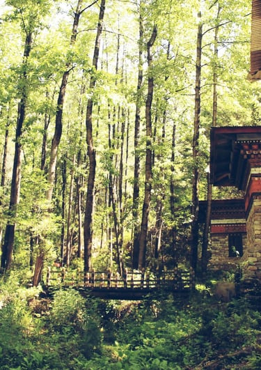 Amazing Bhutan Holidays by Soma Journeys