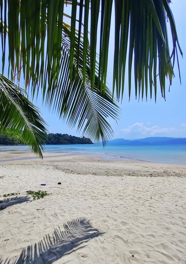 Best exotic Andaman Holidays by Soma Journeys