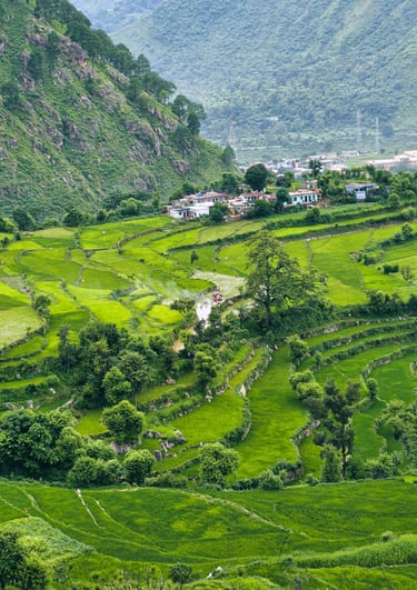 Uttarakhand Holiday Packages by Soma Journeys