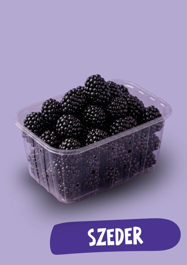Friss, érett szeder egy műanyag edényben, lila háttérrel és „Szeder” felirattal.