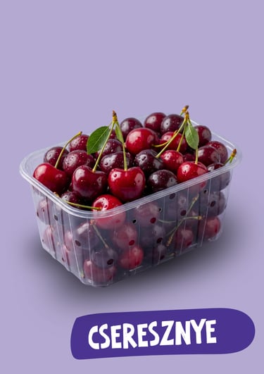 Friss piros cseresznye vízcseppekkel egy műanyag edényben, lila háttér előtt.