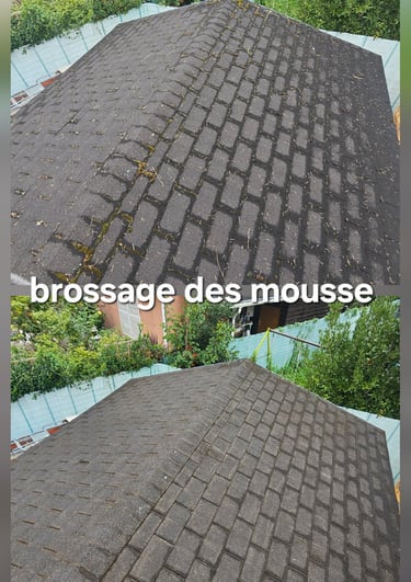 Brossage à manuellement plus traitement anti-mousse sur une toiture.