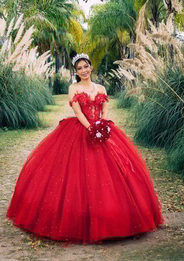 Mis Quince Servicio Princess