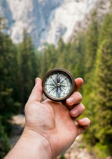 Kompass in der Natur
