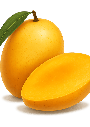chaunsa mango