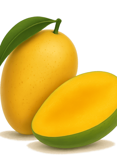 mango different varieties