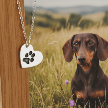 Heart-shaped silver paw print necklace hanging near a brown dachshund in a grassy field.