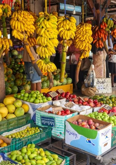galle-frutta-e-verdura