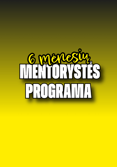 Mentorystės programa – komunikacija, SEO ir socialiniai tinklai