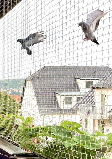 Anti Bird nets