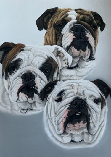 pet portrait commissions