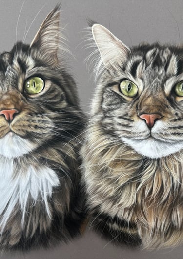 pet portrait commissions