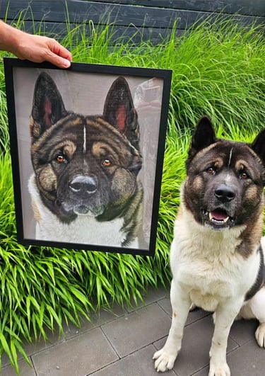 pet portrait commissions