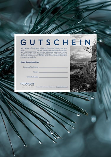 a gift card with a picture of a tree in the background