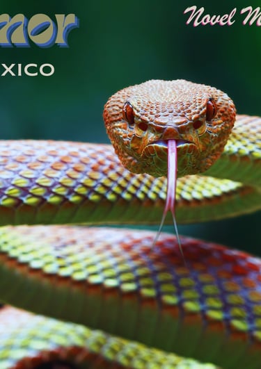 snake