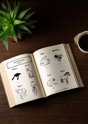 Visual Dictionary on a table open to Tunisian animals and their names.