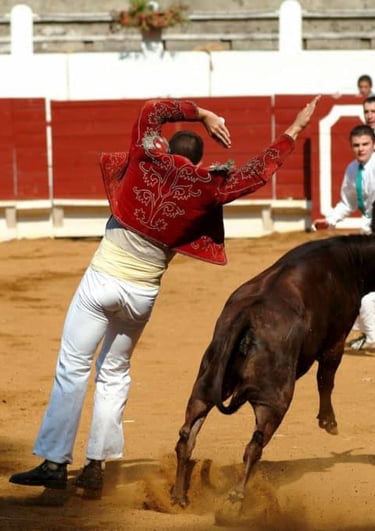 course camarguaise landaise 