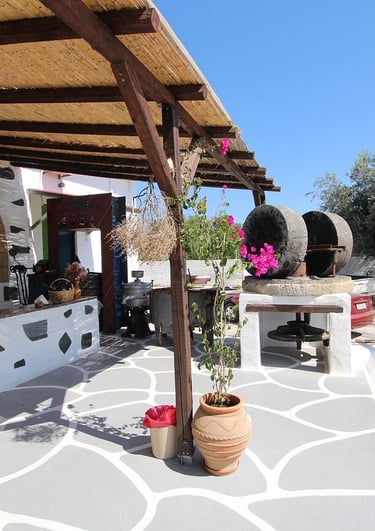 a stone oven with a pizza oven and a table with a potted plant