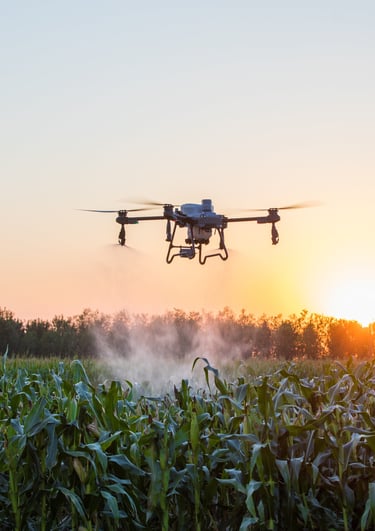 DJI Agras T25 agrodronas