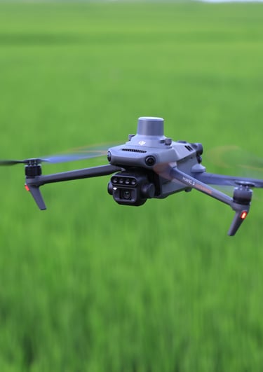 Kintamos normos žemėlapiai